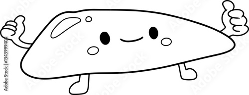 pancreas cartoon organ