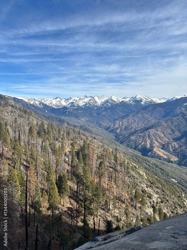 Fototapeta premium Sequoia Mountain Range