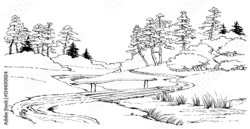 Vector landscape. A dirt road in the forest