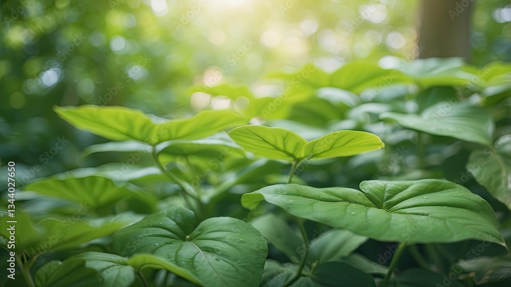 Obraz premium Close-up of vibrant green leaves against a softly blurred background,