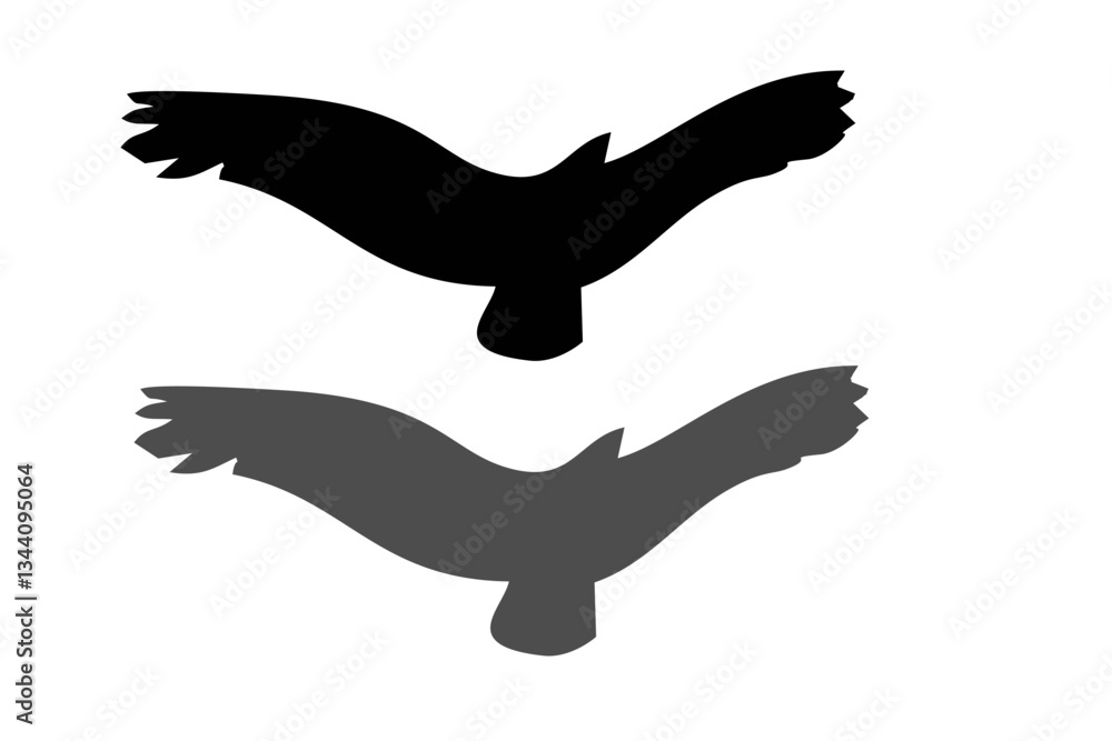 Fototapeta premium collection of birds silhouette vector illustration