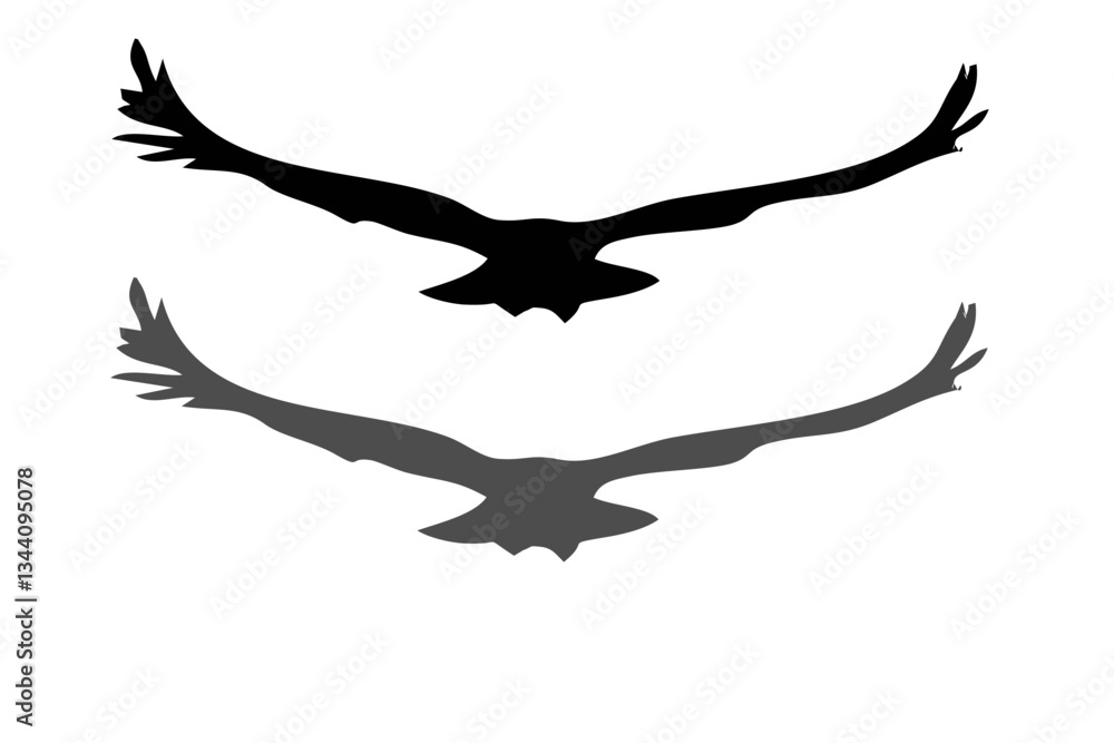Fototapeta premium collection of birds silhouette vector illustration