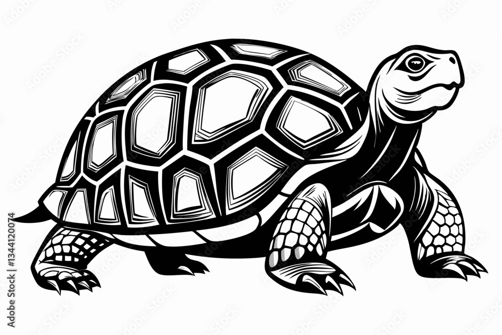 Fototapeta premium tortoise line art silhouette vector illustration