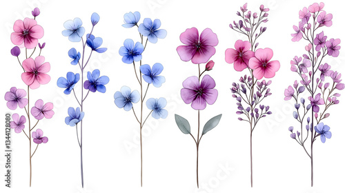 Floral Watercolor Collection: Exquisite watercolor painting showcasing delicate and vibrant floral sprigs, each branch adorned with a unique array of blossoms, stems and buds.