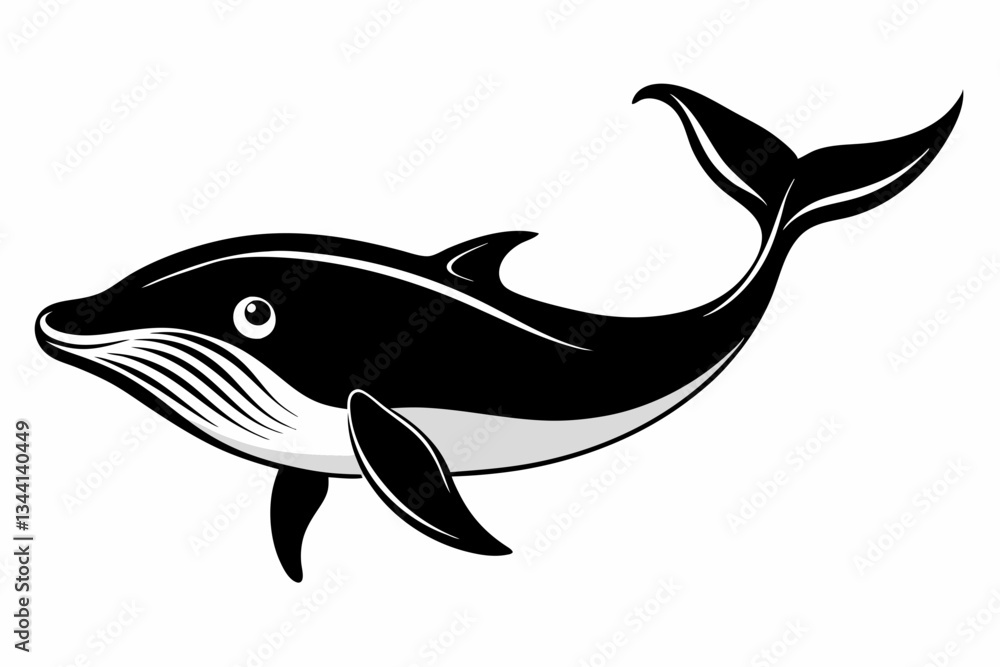 Obraz premium whale line art silhouette vector illustration