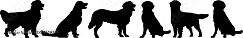 Dog gold retriever silhouette vector on a white background