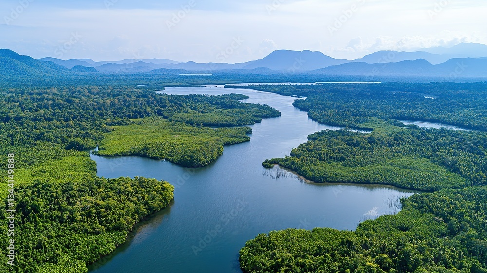 Aerial view of forest ecosystem: unique landscape with mangroves, jungle - covered islands, meandering rivers, clear sky, and distant mountains for environmental protection. Aerial view of forest ecosystem: unique landscape with mangroves, jungle - covered islands, meandering rivers, clear sky, and distant mountains for environmental protection.