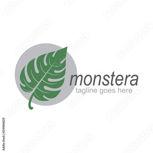 Monstera leaf logo vector design