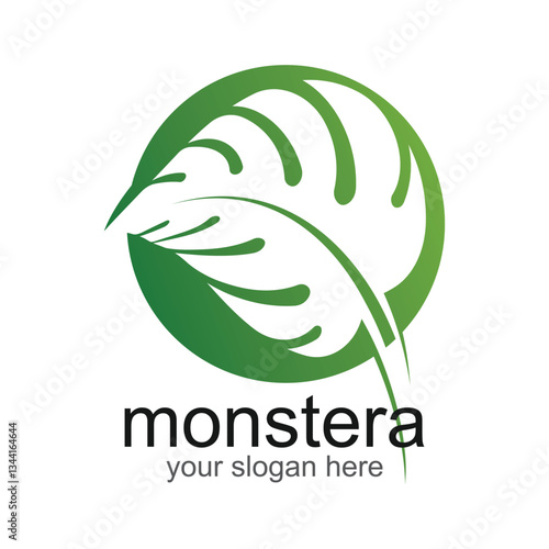 Monstera leaf logo vector design