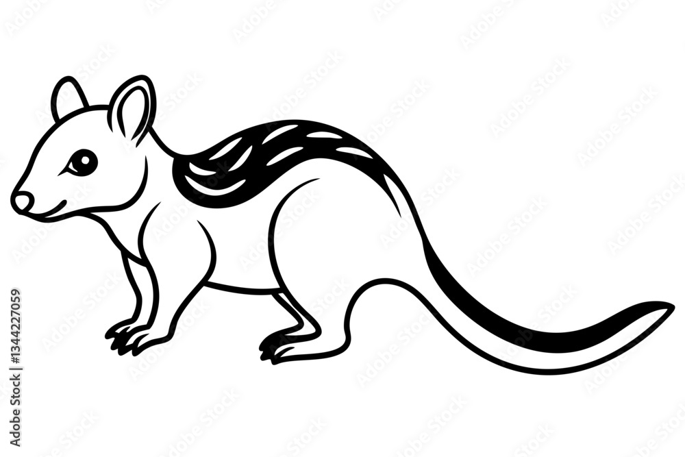Fototapeta premium Elegant Quoll Linework