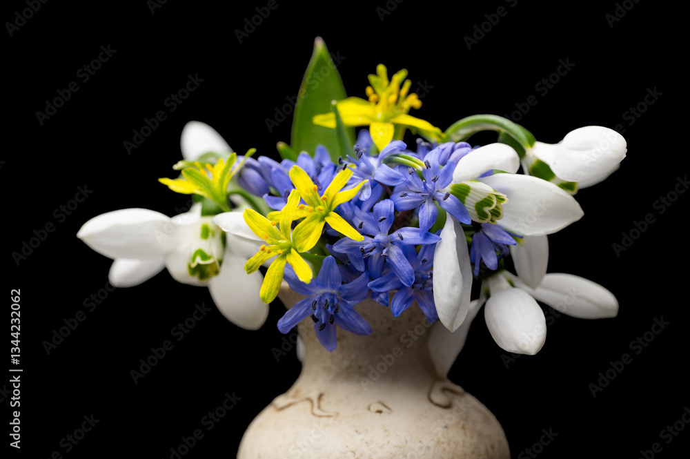 bouquet of spring primroses