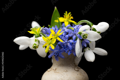 Obraz na płótnie bouquet of spring primroses w salonie