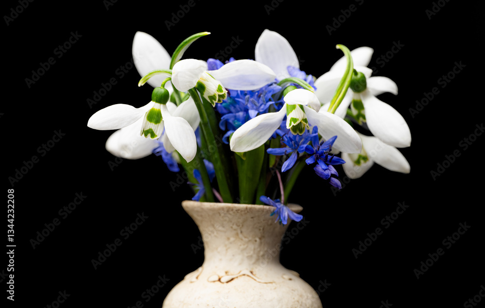 bouquet of spring primroses