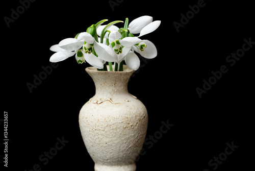 Obraz na płótnie snowdrops close-up w salonie