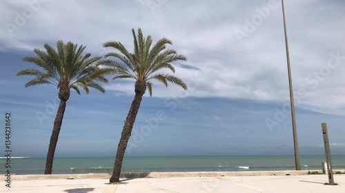 View of Mediterranean Moroccan beach with palm trees in a windy autumn season. 