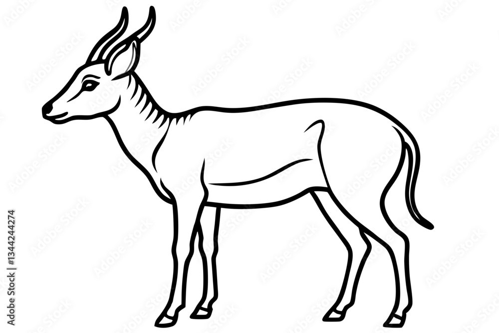 Fototapeta premium Elegant Saiga Antelope Sketch