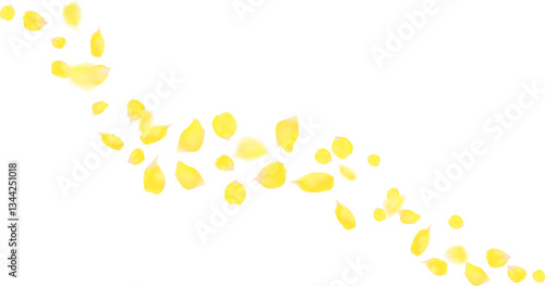 Realistic rose petals yellow color flying together romantic season, friend and congratulations