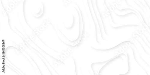 White paper cut decoration textured with wavy layers 3d topography relief background. minimal topography map light element shadow landscape wave element curve graphic papercut design.
