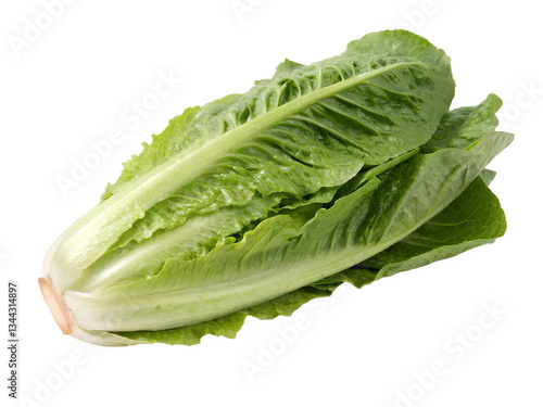 Принти на полотні Whole romaine lettuce isolated on transparent background