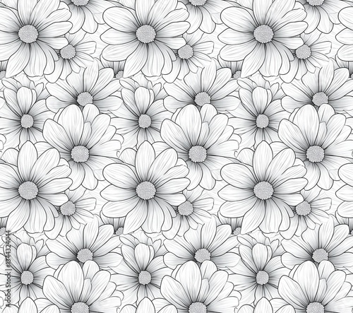Wallpaper Mural Symmetrical Daisies in Black and White, Intricate Geometric Pattern for Coloring Books Torontodigital.ca