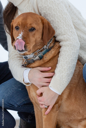 dog friend companion animal pet cute male femaie 