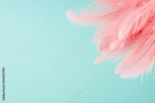 Soft Pink Feathers on Aqua Background Delicate Texture Elegant Design