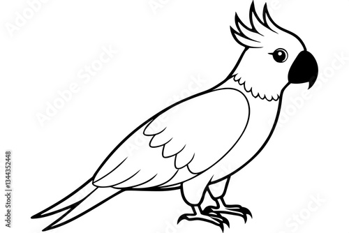 cockatoo line art silhouette vector illustration