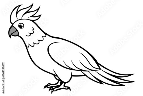 cockatoo line art silhouette vector illustration