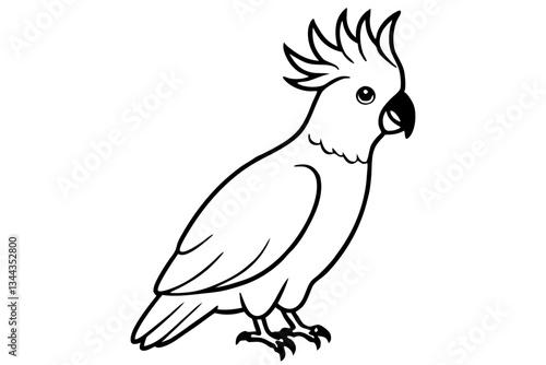 cockatoo line art silhouette vector illustration