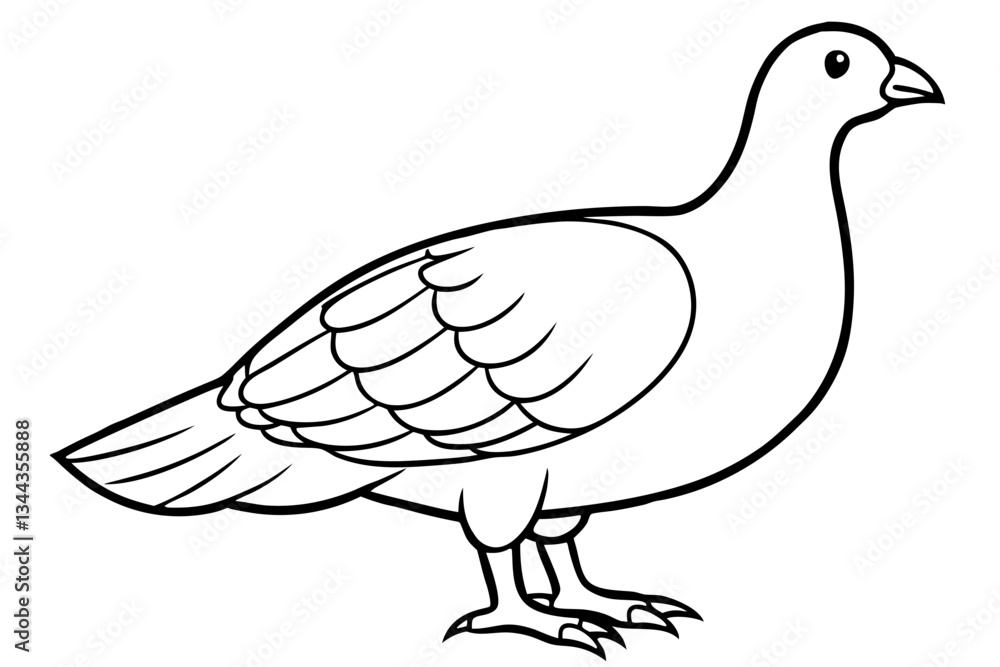 grouse line art silhouette vector illustration grouse line art silhouette vector illustration
