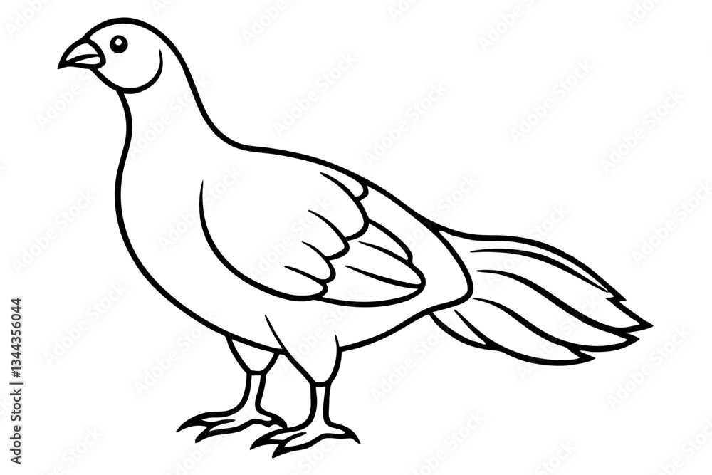 grouse line art silhouette vector illustration grouse line art silhouette vector illustration