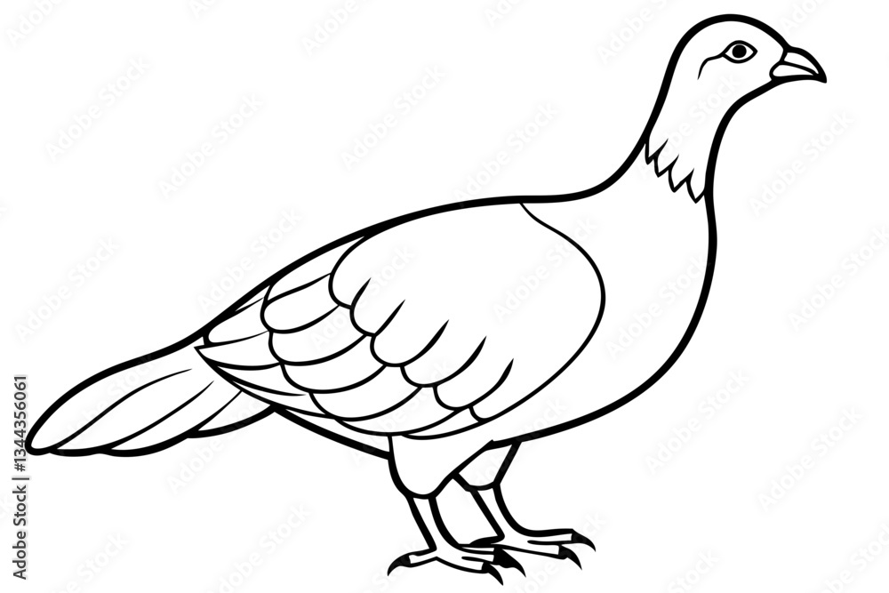 Fototapeta premium grouse line art silhouette vector illustration