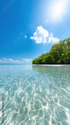 Serene Tropical Beach with Crystal Clear Water and Bright Sky