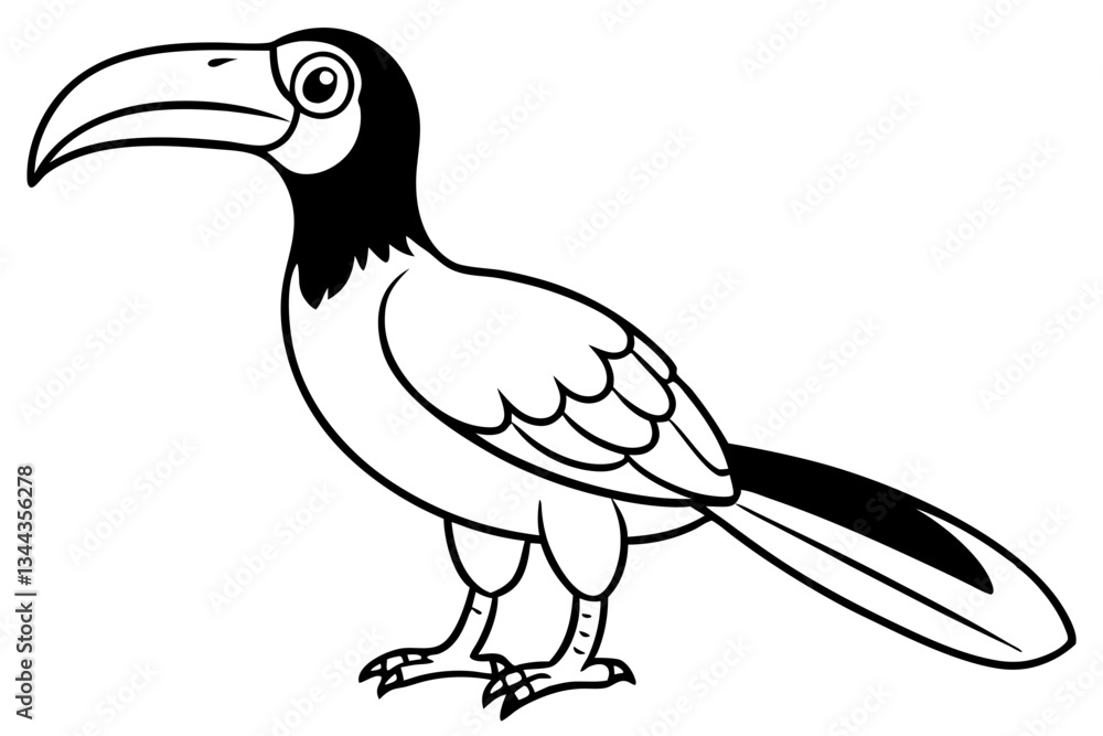 Obraz premium hornbill line art silhouette vector illustration