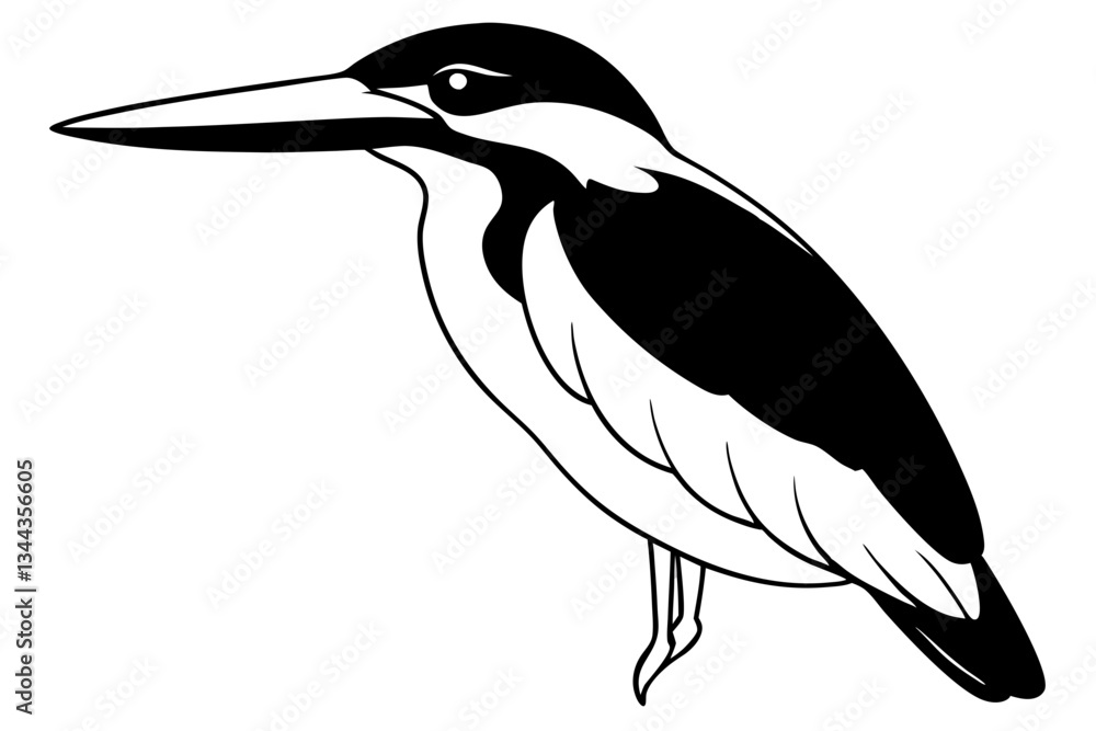 Fototapeta premium kingfisher line art silhouette vector illustration