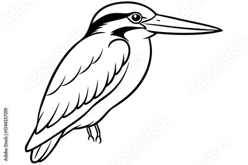 kingfisher line art silhouette vector illustration photo