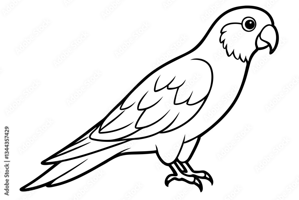 lorikeet line art silhouette vector illustration lorikeet line art silhouette vector illustration