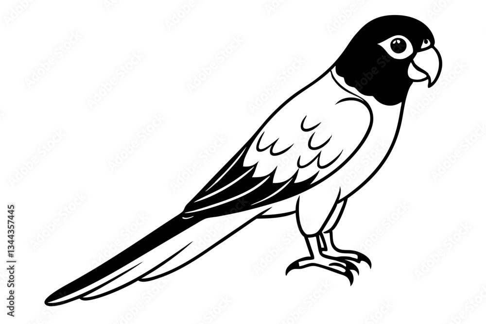 Fototapeta premium lorikeet line art silhouette vector illustration