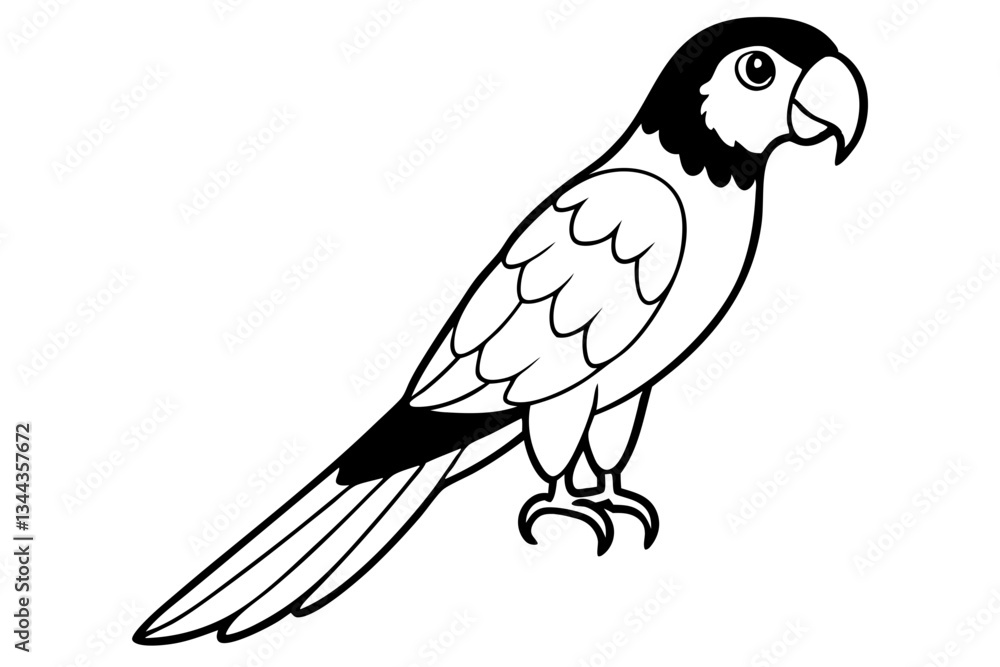 macaw line art silhouette vector illustration macaw line art silhouette vector illustration