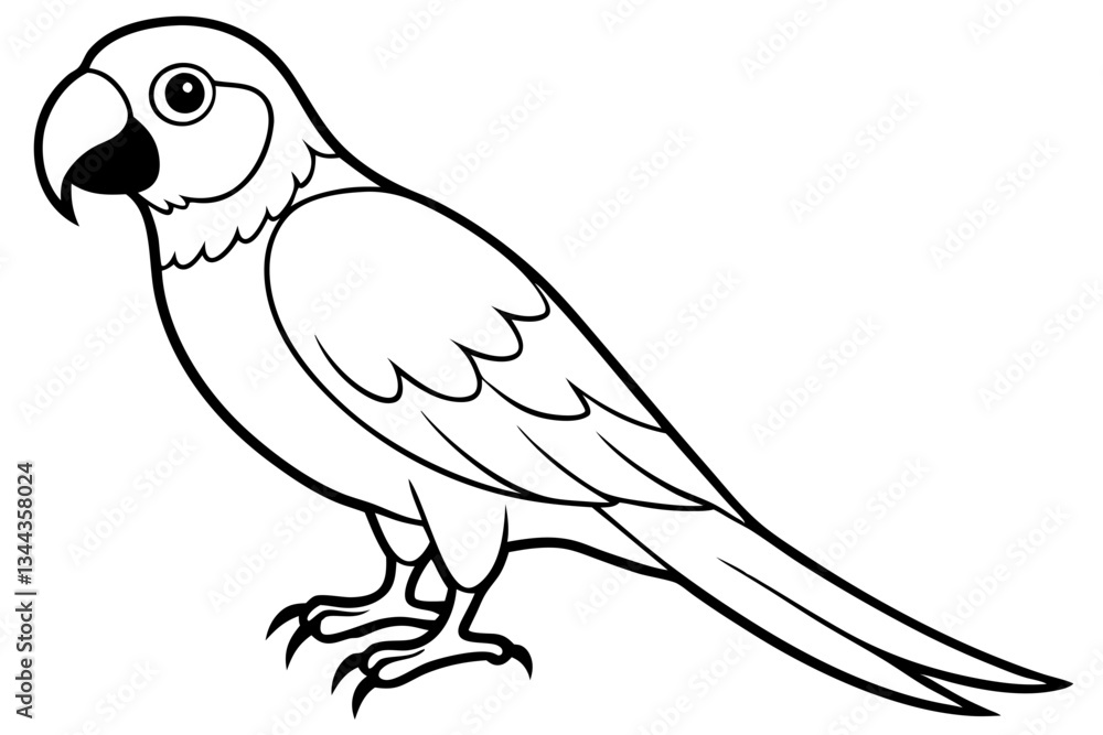macaw line art silhouette vector illustration macaw line art silhouette vector illustration
