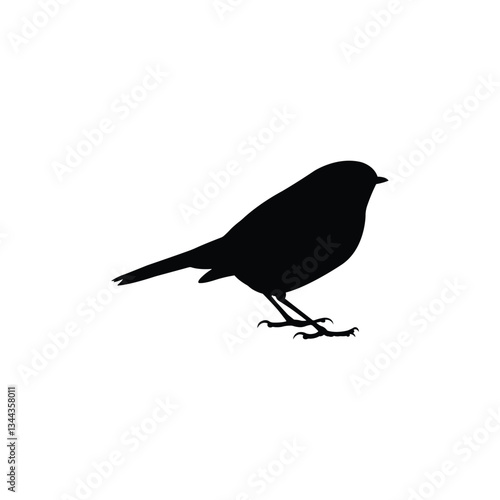 Standing robin bird silhouette on white background