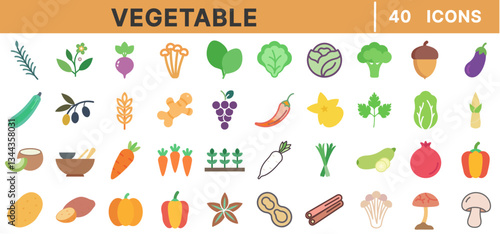 Vegetable Icon Set – 40 Flat Vector Icons of Organic Vegetables, Herbs, Healthy Food, Farming, Plant-Based Diet, Agriculture, Nutrition, and Fresh Produce