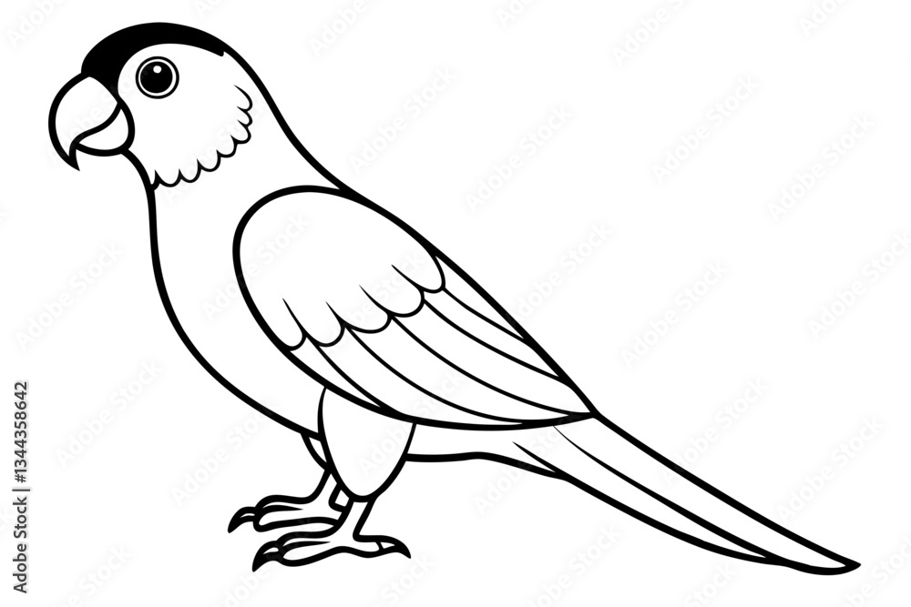 Obraz premium parrot line art silhouette vector illustration