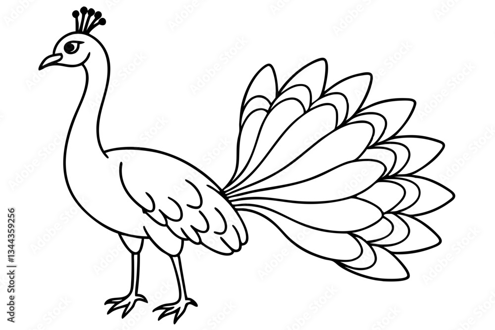 peacock line art silhouette vector illustration peacock line art silhouette vector illustration
