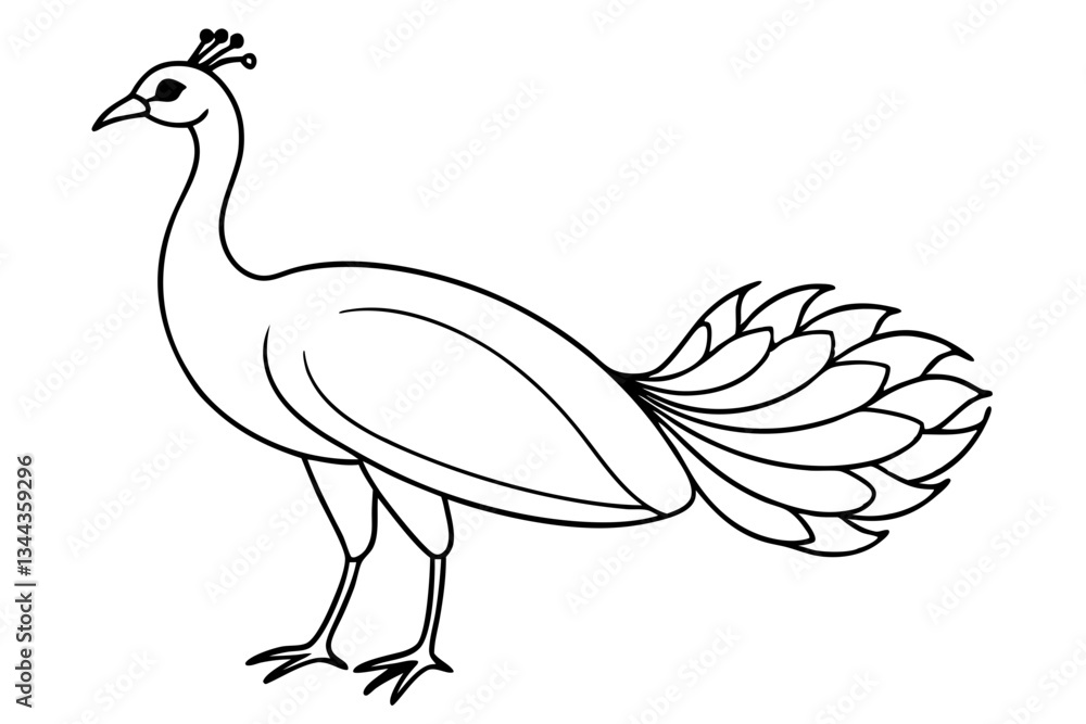 peacock line art silhouette vector illustration peacock line art silhouette vector illustration