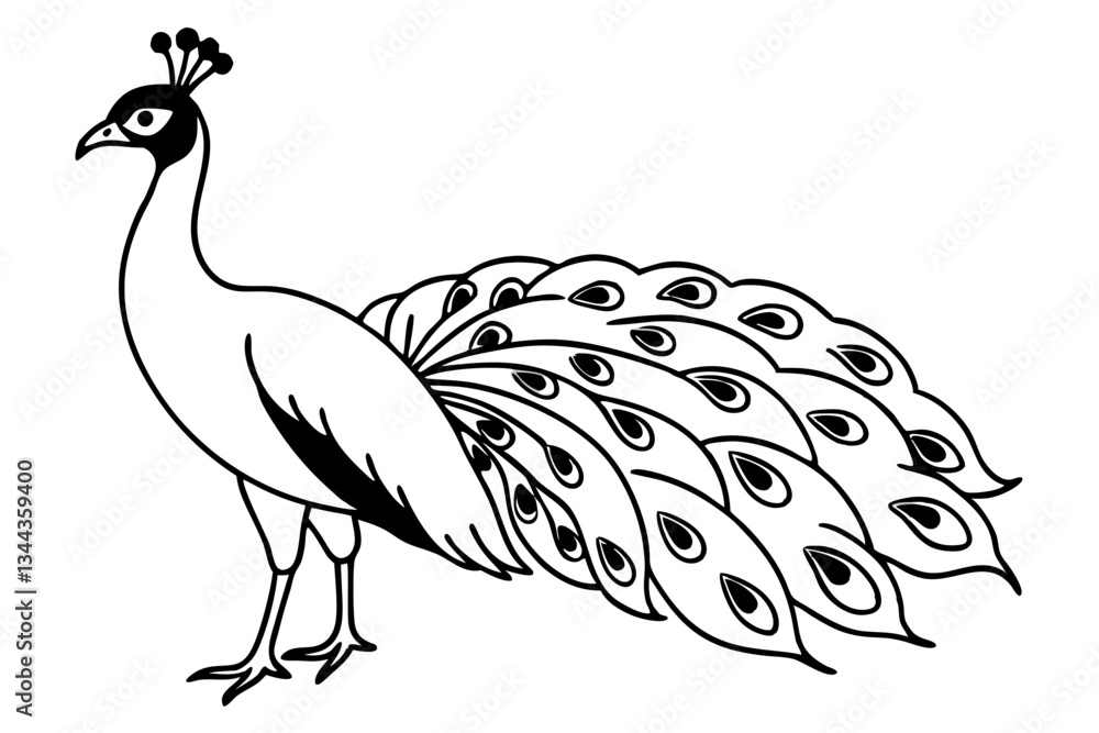 Fototapeta premium peacock line art silhouette vector illustration