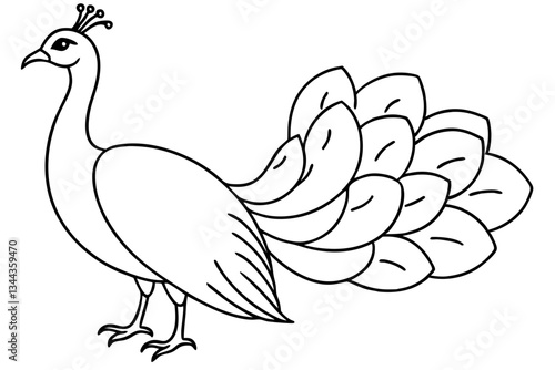 Wallpaper Mural peacock line art silhouette vector illustration Torontodigital.ca