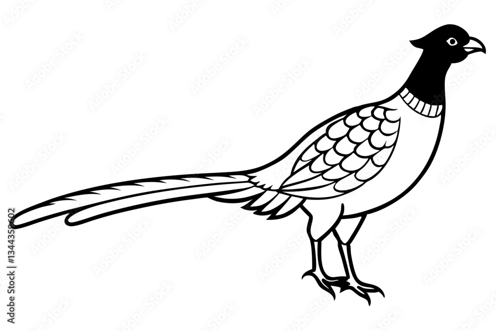 Fototapeta premium pheasant line art silhouette vector illustration