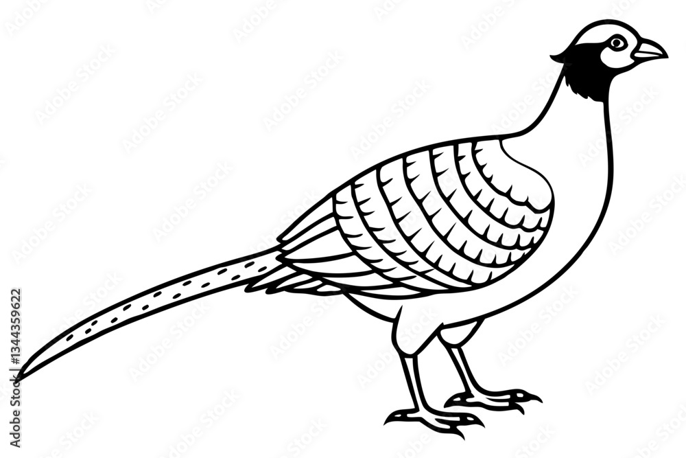 Obraz premium pheasant line art silhouette vector illustration