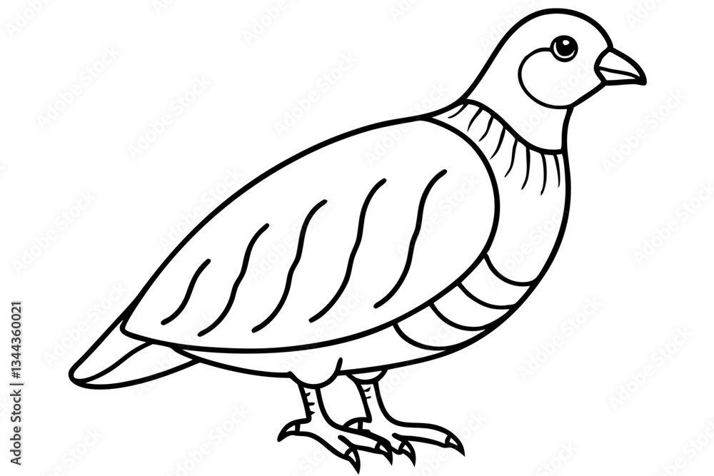 Fototapeta premium quail line art silhouette vector illustration